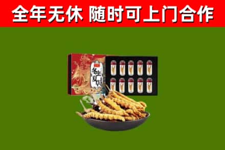 黄石回收冬虫夏草价格